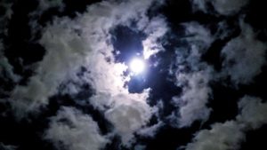 [月と狼ちゃんには騙されない]落ちないで投票の結果は？ひなが人気？1